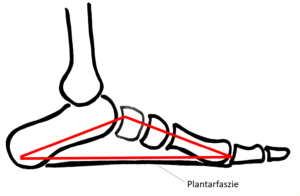 Fersensporn / Plantarfasziitis: Schematische Darstellung des Fußgewölbes